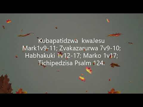 Kutanga kwekereke yaChristu Jesu: Johane Mubapatidzi Part 1; Mark1v1-8