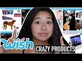 Buying Weird Wish Products!!