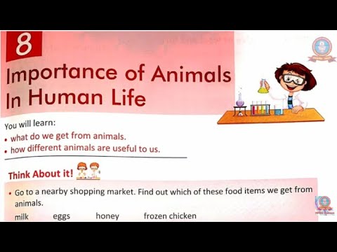 IMPORTANCE OF ANIMALS IN HUMAN LIFE || CLASS 1 || SCIENCE || CHAPTER 8 ||  FULL CHAPTER || MPES - YouTube