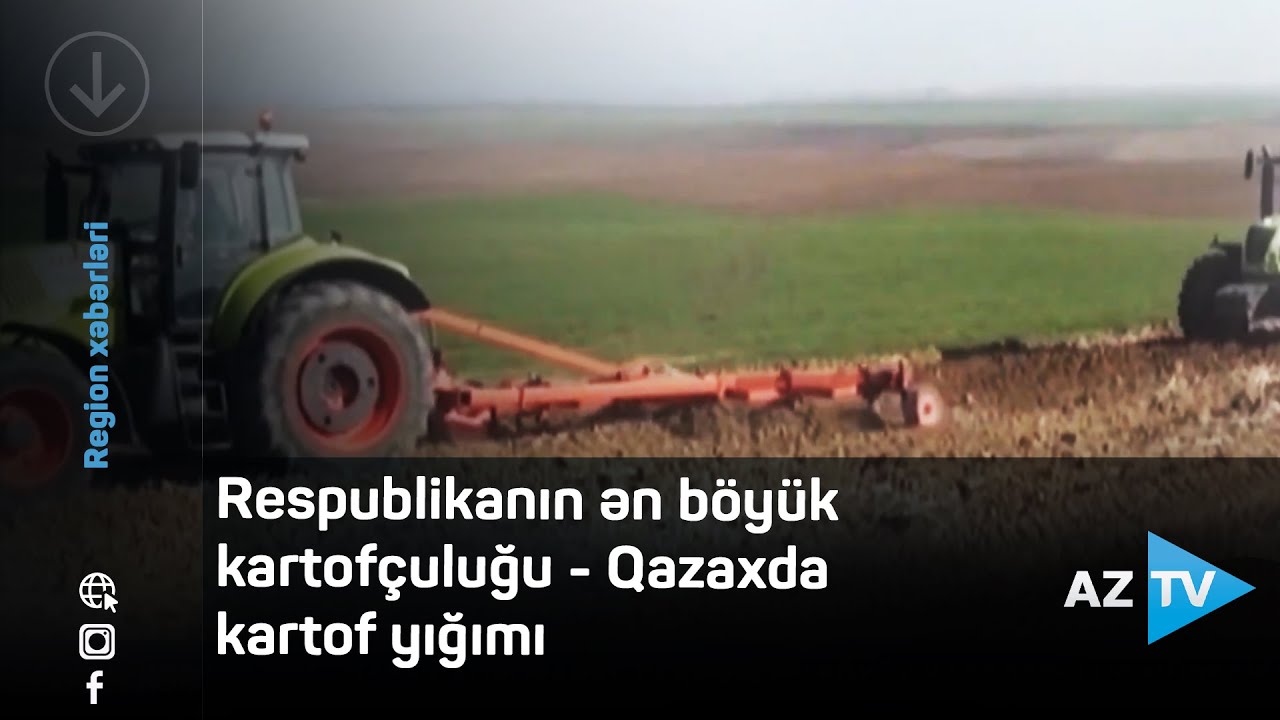 Respublikanın ən böyük kartofçuluğu - Qazaxda kartof yığımı