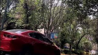 Colonia San José Insurgentes - Calle Capuchinas, Damas y Acordada. Caminatas solitarias