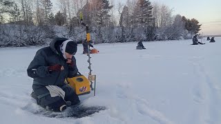 Отчёт с прошедшего кубка им. А. Шипелова по мормышке. Разбор ошибок и тактика поведения в турах.