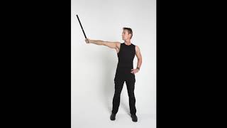Stop Motion Slideshow Indian Club Pattern #1: sheathed your sword