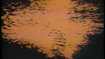 Irwin Allen's The Swarm Movie Commercial