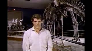 Christopher Reeve List Books About Dinosaurs - Suggested By Library Of Congress | Read More About It