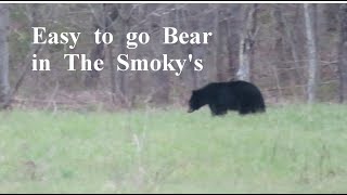 The Great Smoky Mtns Nat.Park, Cades Cove in early April. Never a wrong time to visit . by GoingNoWhereFast 1,135 views 1 month ago 9 minutes, 48 seconds