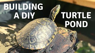 Building an Above Ground DIY Turtle Pond