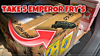 TAKE 5 EMPEROR FRY’s