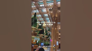 南インド🇮🇳美しすぎるバンガロール空港#southindia #バンガロール #南インド