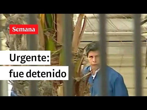 Urgente: Pedro Castillo, presidente de Perú, fue detenido | Semana Noticias