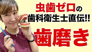 正しい歯の磨き方｜抑えておくべき4つのポイント