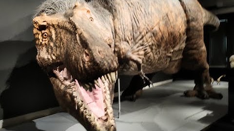 T-Rex: The Ultimate Predator. New ROM exhibit