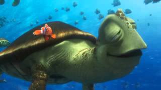 Disney Pixar'dan Kayıp Balık Dori - Fragman #3 [Türkçe Dublajlı]