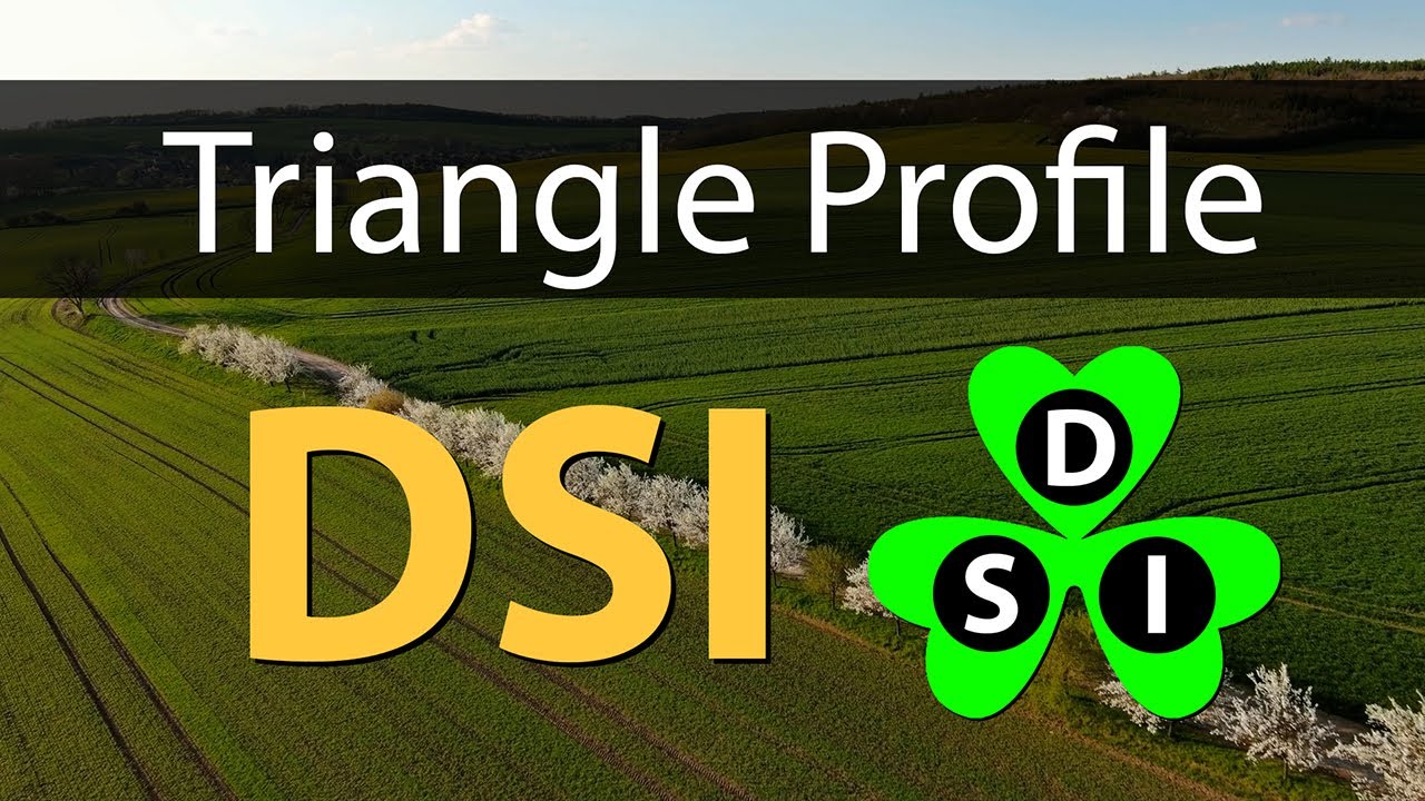 DSI Triangle Profile from Tara’s Triangle Personality Type Psychology Tool