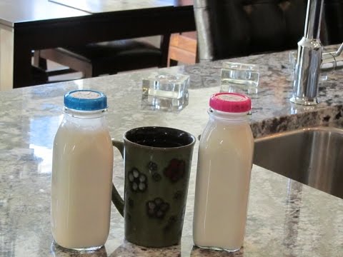 DIY Vanilla Coffee Creamer (Organic Gluten/Dairy Free)