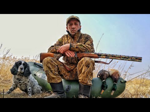 Охота на фазана по чернотропу с собакой русский охотничий спаниель.