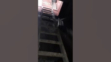 Should I Go Up The Sketchy Ladder?