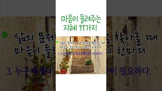 마음이 지지하는 것은 언제나 옳다  #shorts