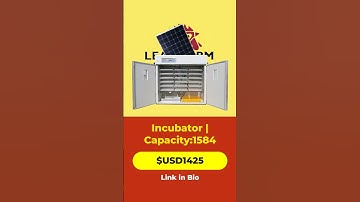 🔆 Best Solar-Powered Egg Incubator for Large-Scale Hatching