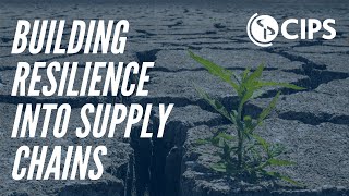Building Resilient Supply Chains through Coronavirus | CIPS