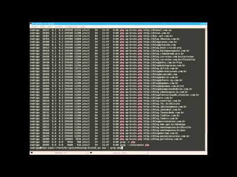 [PHP + Bash] Wordpress brute Force Single / Multi {Curl Multi}