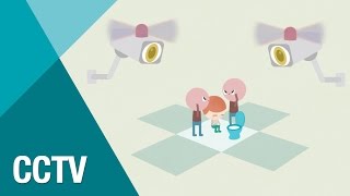 Should CCTV cameras be used on campus? (C2D Albatross+ Lesson5) Do Schools Have Cctv