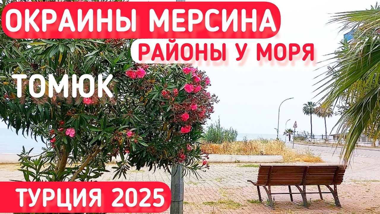 Турция 2025🇹🇷 Особенности районов  у моря. Томюк Турецкий базар. #влог