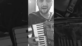 #onlinecasovi #tutorijalinaprodaju #nemavisemojjarane #accordion #cover