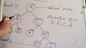 pgtrb computer science ,Trees in Data Structures |TRB 2021
