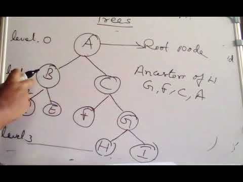 pgtrb computer science ,Trees in Data Structures |TRB 2021