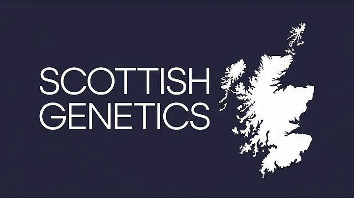 Why The Scottish DNA is So Unique and Different?