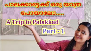 പാലക്കാട് ഒരു യാത്ര പോയാലോ | A TRIP TO PALAKKAD | PART-1 | VLOG-2 | DANCE ZONE SANDHRA