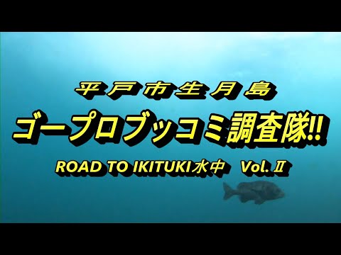 R5.2.9.長崎県 生月島 ブッコミ調査Ⅱ