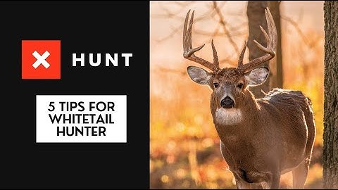 onX Tutorial: 5 Tips for Whitetail Hunters