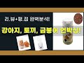 강아지  토끼  금붕어 간식, 용품 언박싱! 멍멍이매점 쇼핑!