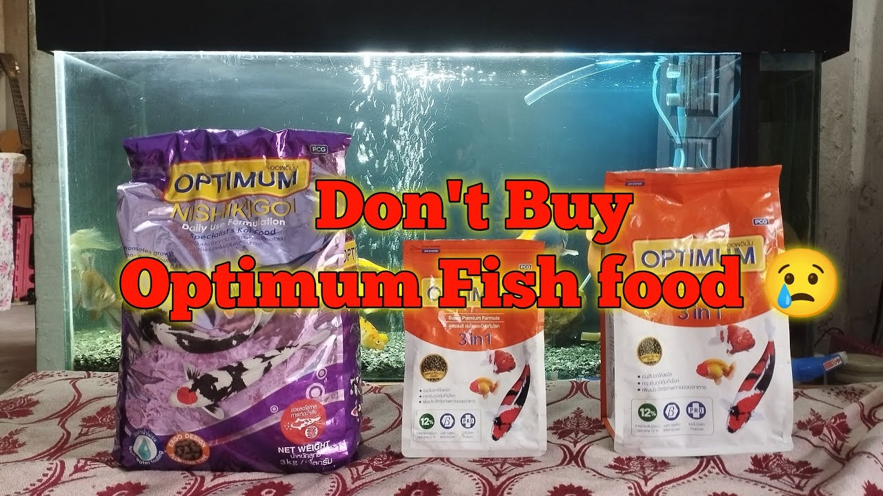⚠️❗ DON'T BUY OPTIMUM FISH FOOD❗| aquarium fish food 