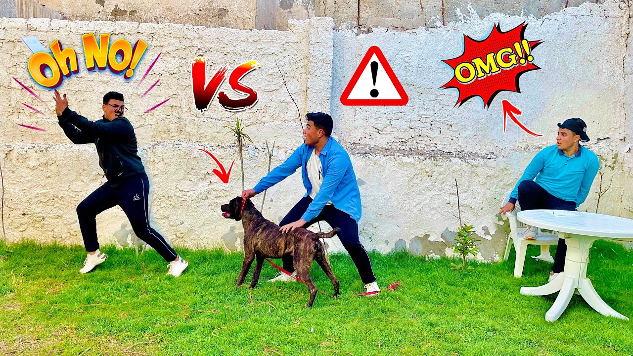 لما تروح الامتحان بكلب😂🦮 | سيف عماد