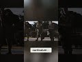 Secret Delta Force Training Selection Never Ends