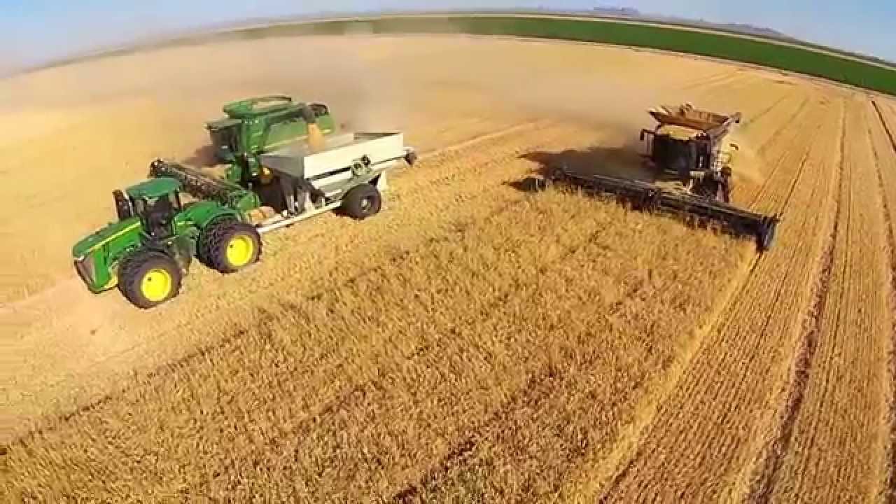 How to Harvest Barley advise How to Harvest Barley forecast