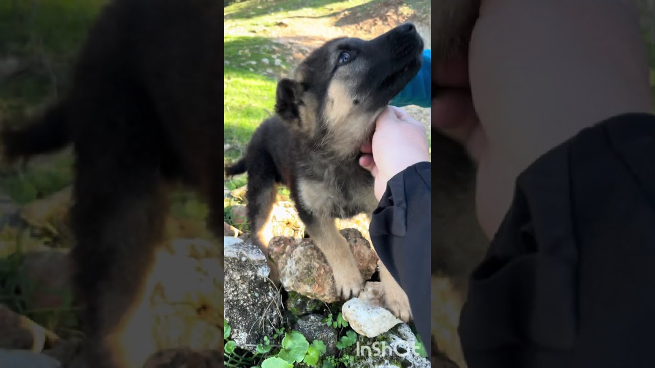 Castillo de Locubín