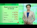 Экономика - Проверки птицефабрик. Почему подорожали яйца?