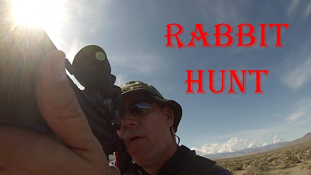 Rabbit Hunting April 2016 YouTube