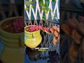 métodos para reproducir suculentas #jardin #plantas