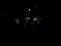 【現役生ライブ2016】いちご100%