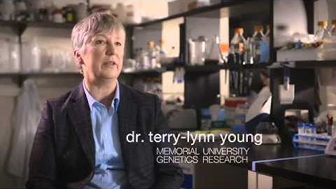 Innovation Campaign - Genetics Research