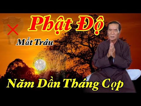 Video Ông 3 Nói Phật Độ Mất Trâu | Năm Dần Tháng Cọp Phải... - youtube