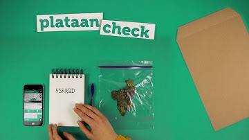 Doe de Plataancheck! - plataanpakkers gezocht