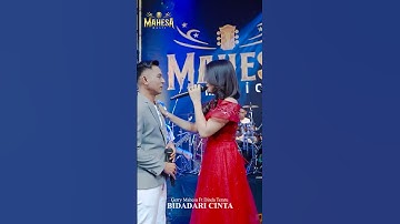TERBARU BIDADARI CINTA II GERY MAHESA FT DINDA TERATU #fypシ゚viral #mahesamusik #shortsvideo