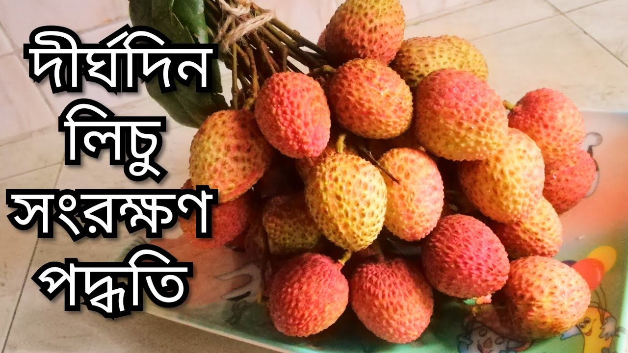 লিচু সংরক্ষণের সহজ ২টি পদ্ধতি।Lichu songrokkhon Poddhoti.How to store lichi.Lychee Preservation.