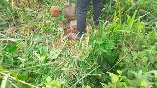 Survey Beacon... Osaze Ekunwe.. 07055076156